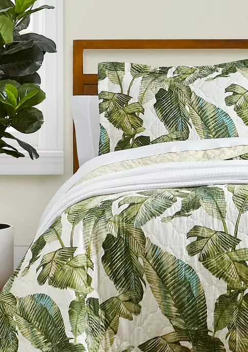 Tommy Bahama Fiesta Palms 2-Piece Floral Cotton Quilt Set 5 Tommy Bahama Fiesta Palms 2-Piece Floral Cotton Quilt Set - Image 3